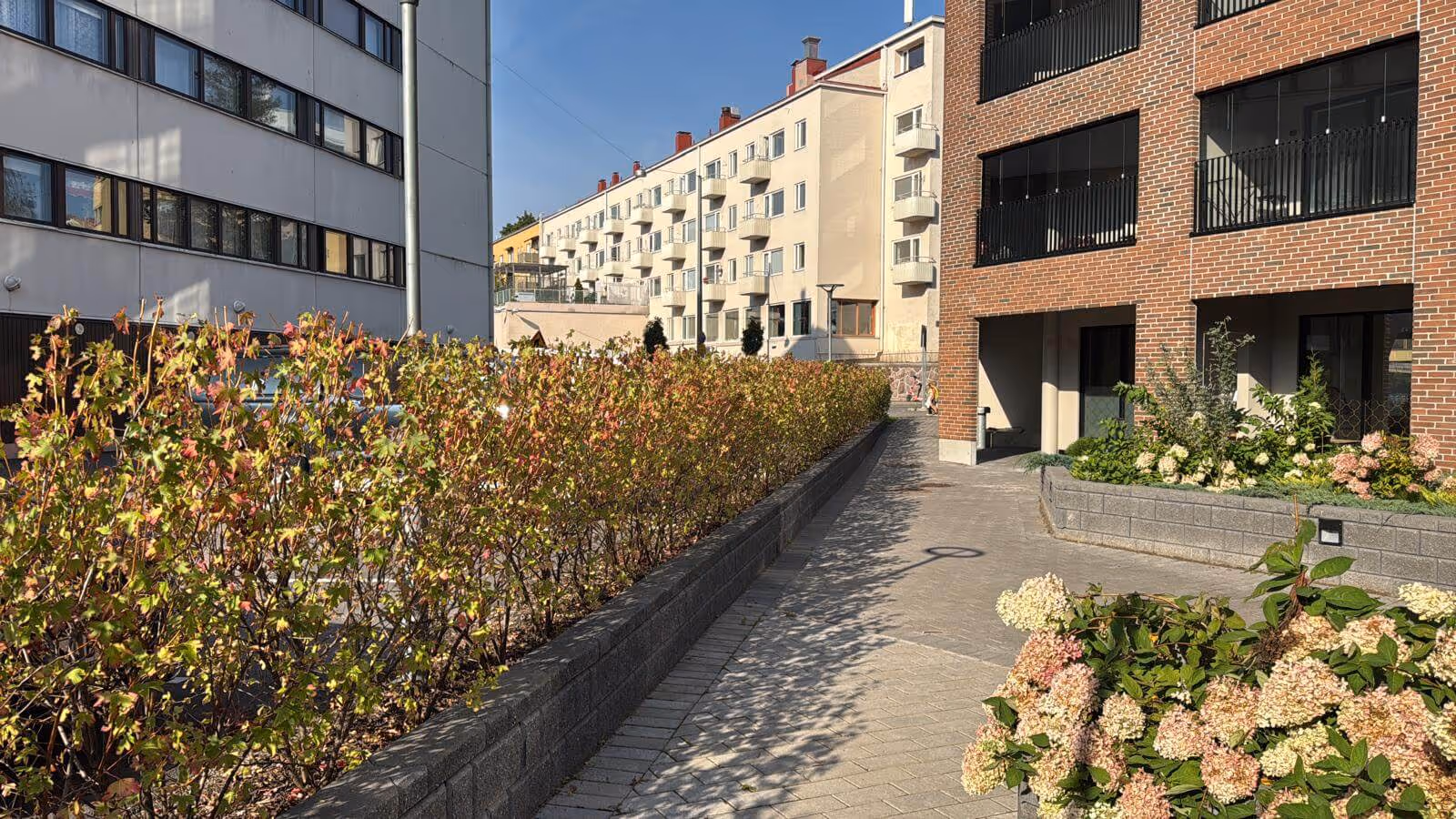 Ulkona on kivetty kävelytie, jonka varrella on matala pensasaita ja kukkia. Taustalla näkyy kerrostaloja aurinkoisessa säässä.