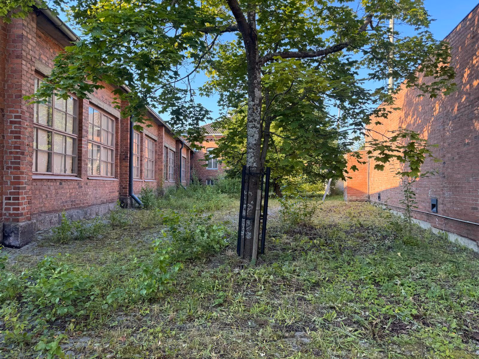 Ulkona on punatiilinen rakennus, jossa on suuret ikkunat ja puu, jonka ympärillä on metallinen suoja. Maassa kasvaa rehevää kasvillisuutta.