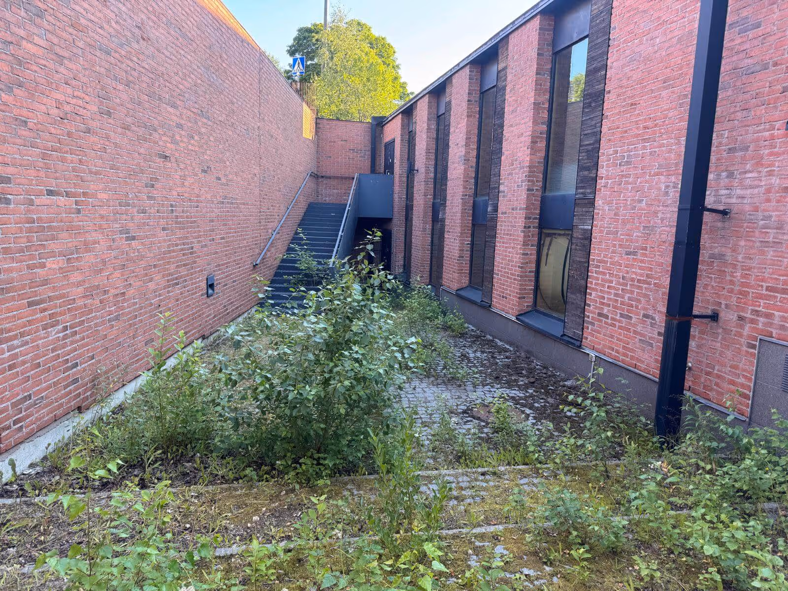 Ulkona on tiiliseinä, portaat ja paljon vihreää kasvillisuutta, valaistus on kirkas.